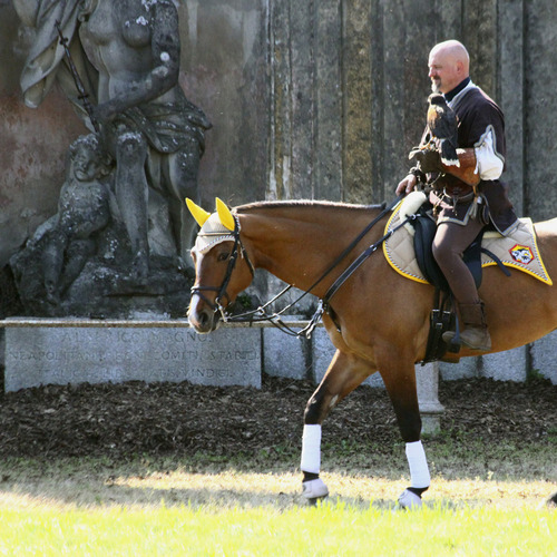 Belgioioso Fantasy 2012