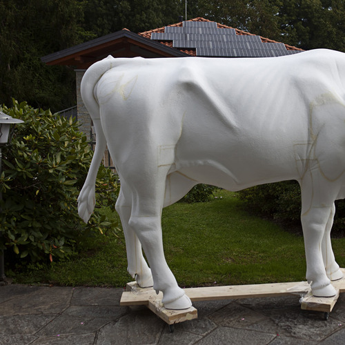 Pink Floyd cow