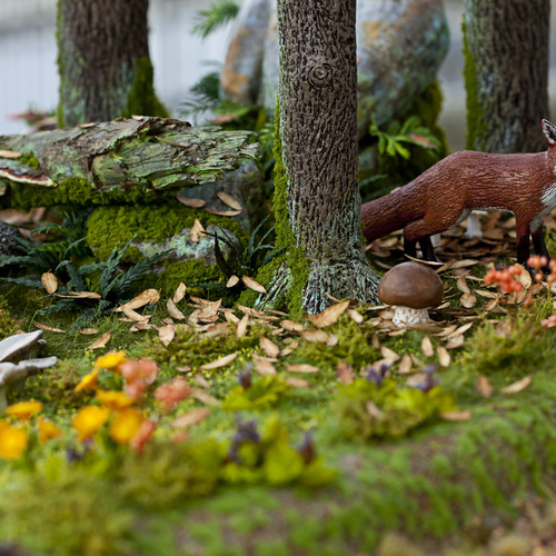 Diorama didattico sezione bosco